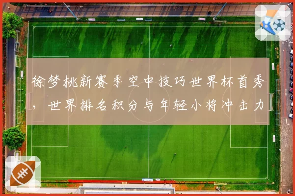 徐梦桃新赛季空中技巧世界杯首秀，世界排名积分与年轻小将冲击力对比分析__br_