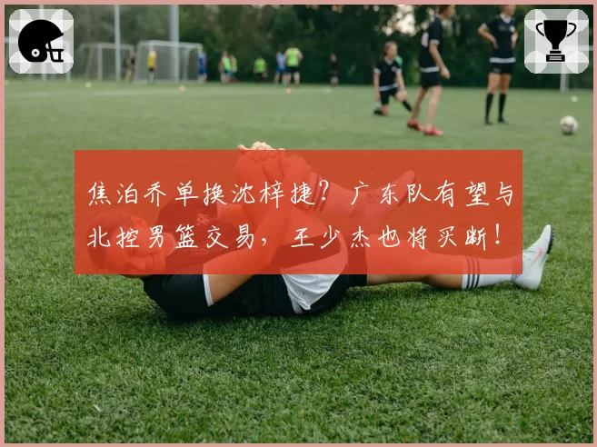 焦泊乔单换沈梓捷？广东队有望与北控男篮交易，王少杰也将买断！