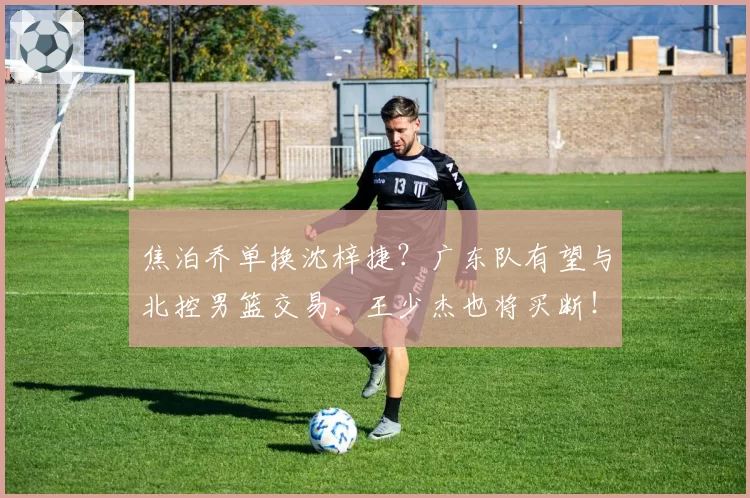 焦泊乔单换沈梓捷？广东队有望与北控男篮交易，王少杰也将买断！