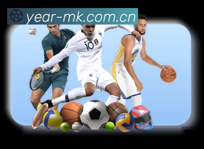 MK体育APP 封面图